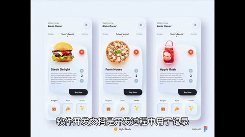 軟件外包開發(fā)的開發(fā)文檔